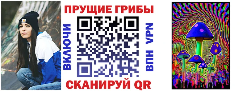 Псилоцибиновые грибы ЛСД купить наркоту Ковров